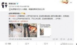 最新网友爆料新闻,神秘事件背后真相揭晓！