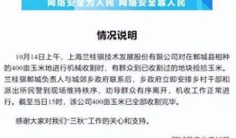漯河爆料新闻事件最新,惊现神秘事件，真相令人震惊！