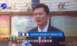 最美副局长被爆料视频,视频爆料引发舆论热议