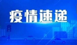 新爆料最新消息今天新闻,揭秘背后真相”