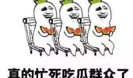 小猪娱乐爆料号是什么,揭秘娱乐圈幕后真相