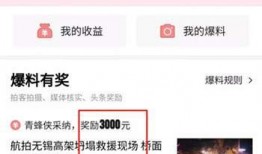 今日头条最快爆料视频,最新视频揭秘事件真相！
